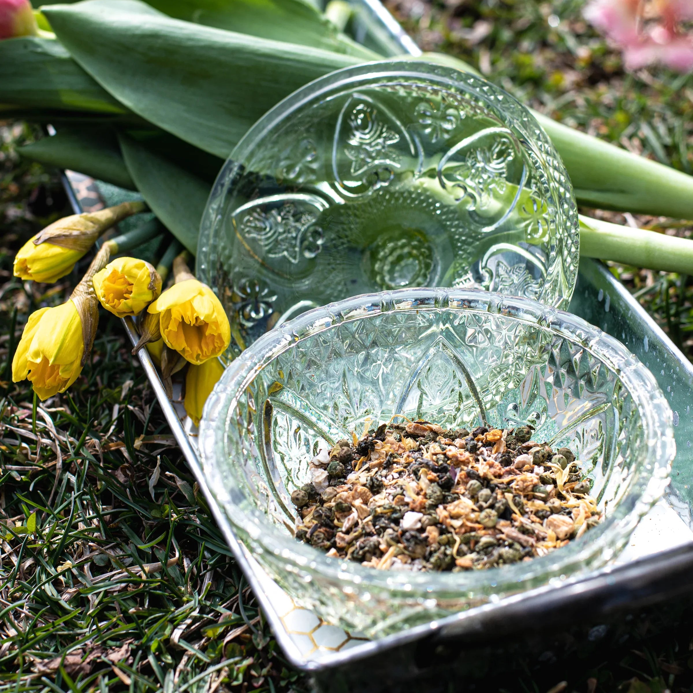 Spring Oolong