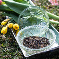 Parent's Day Blend
