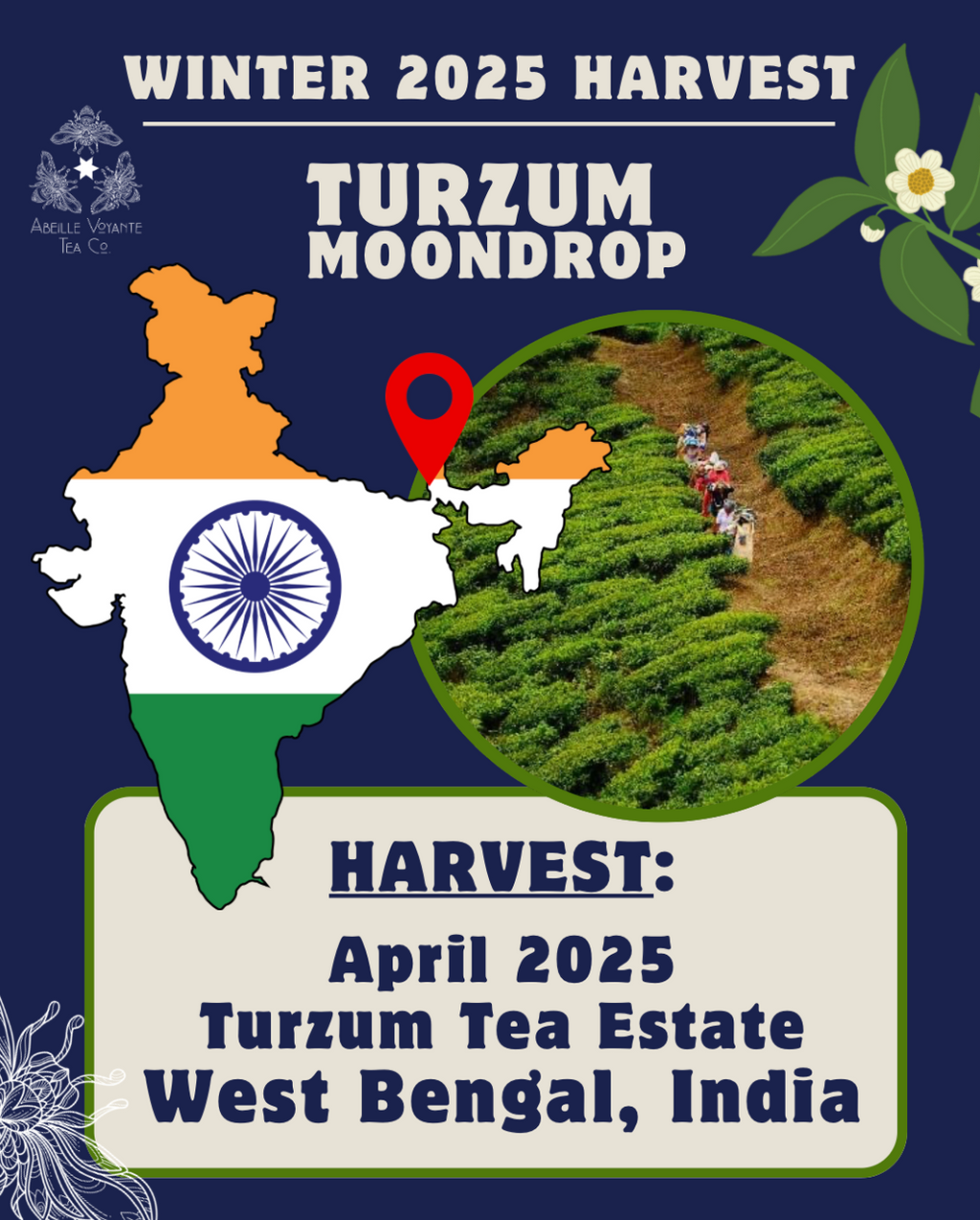 Turzum Moon Drop