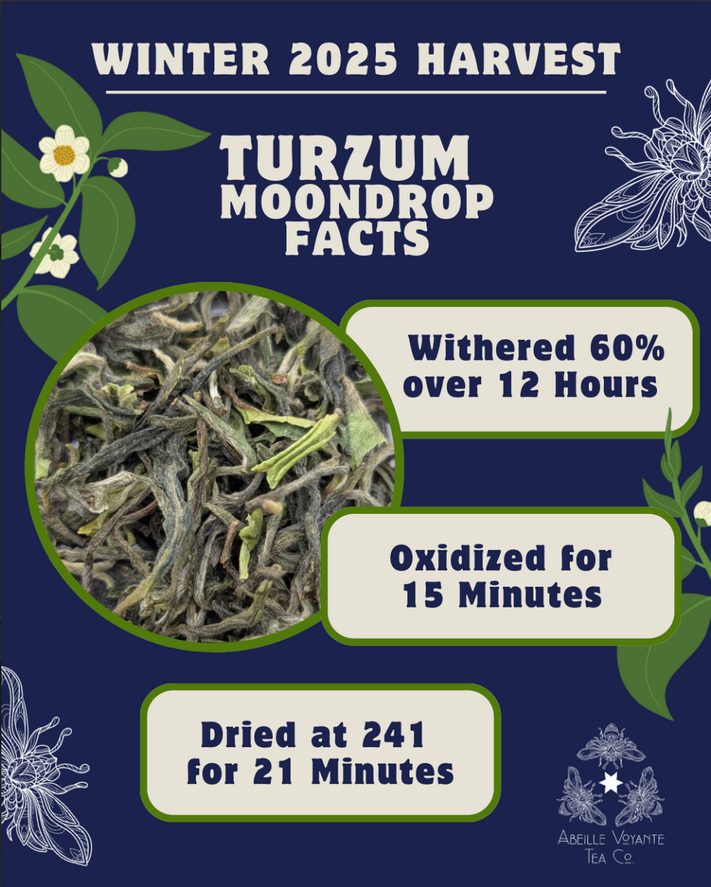 Turzum Moon Drop