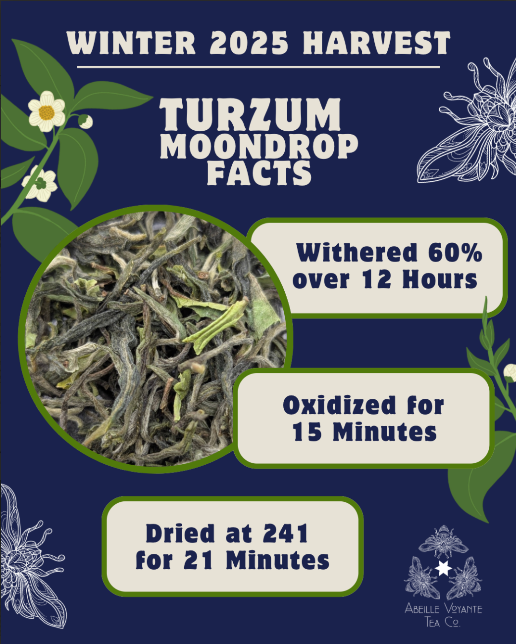 Turzum Moon Drop
