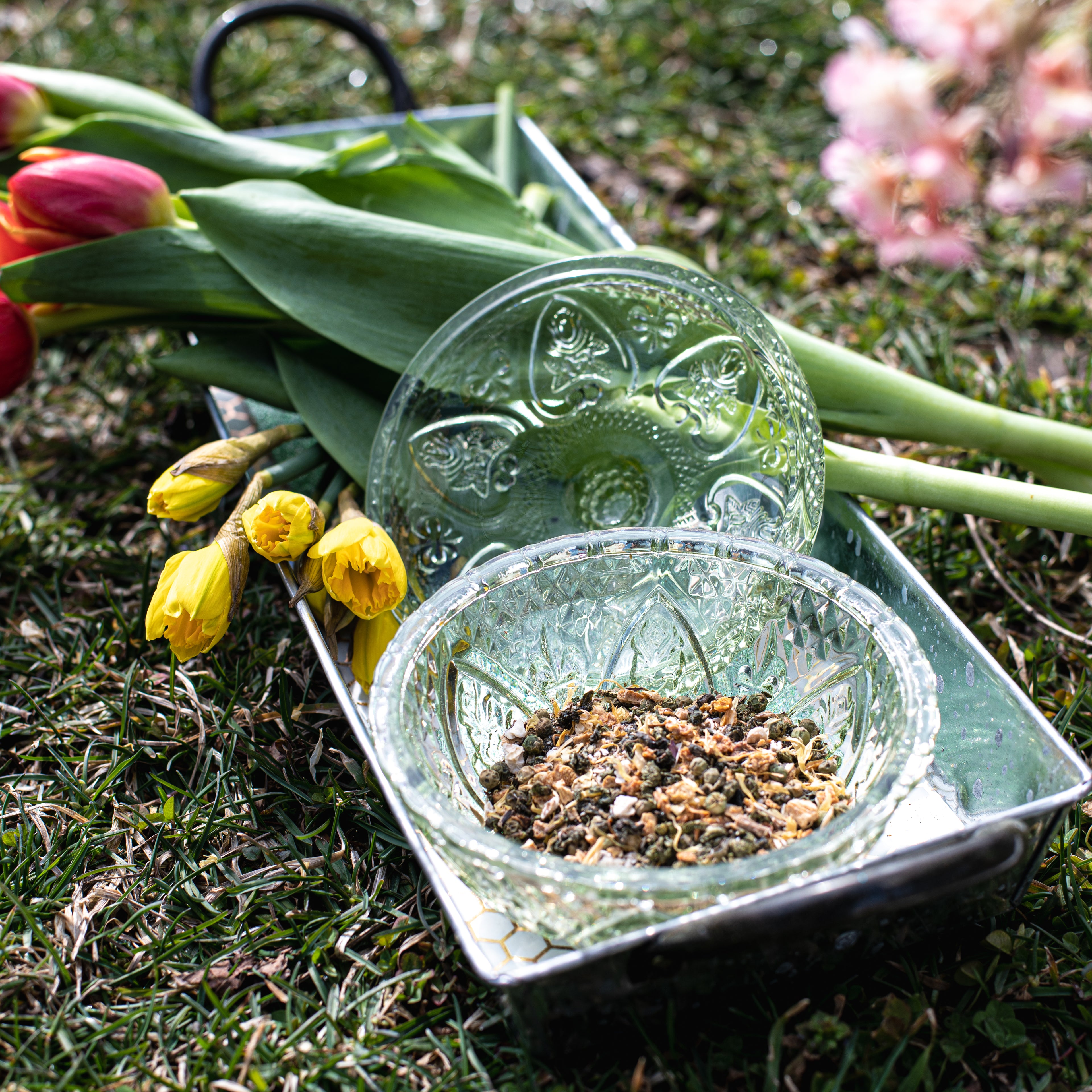 Spring Oolong
